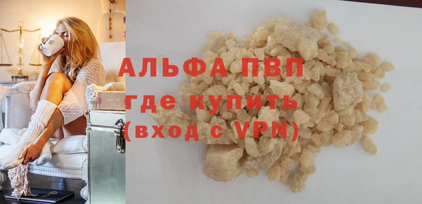 молекула духа Богданович
