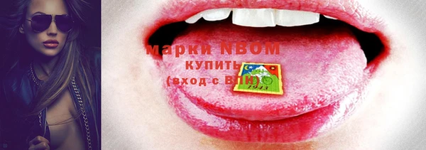 прущие грибы Строитель