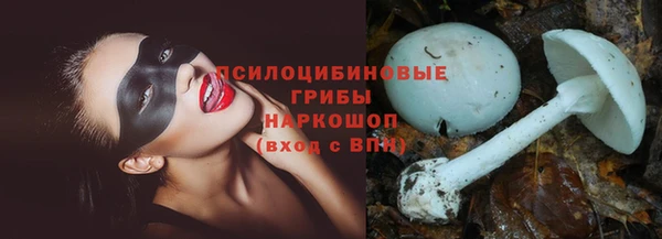 кокс Богородицк