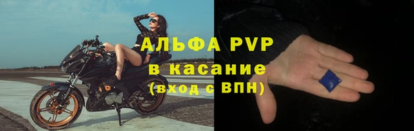 прущие грибы Строитель