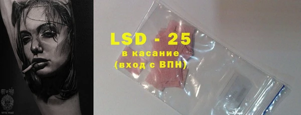 молекула духа Богданович
