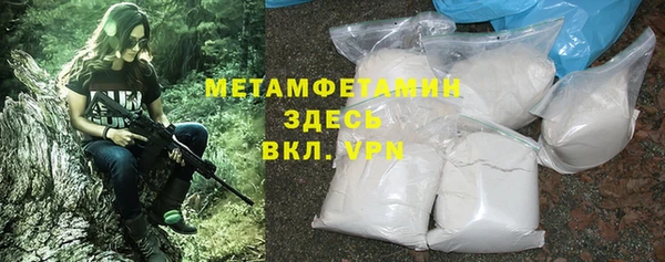 молекула духа Богданович