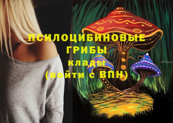 кристаллы Бородино