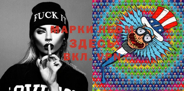 молекула духа Богданович