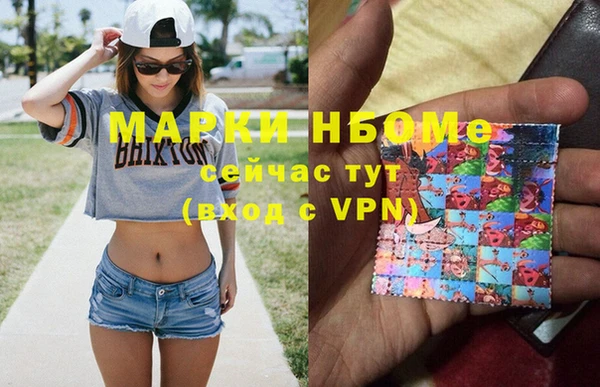 молекула духа Богданович