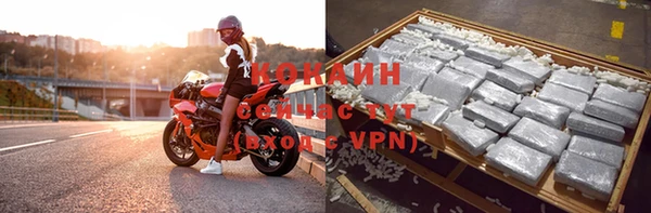 молекула духа Богданович