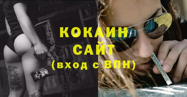 кокс Богородицк