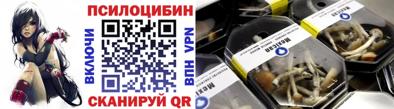 как найти наркотики Гусев Галлюциногенные грибы прущие грибы