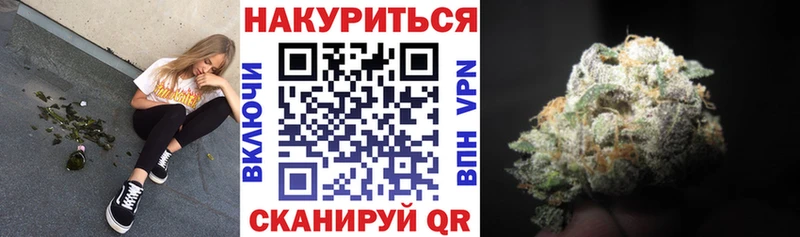 купить Гусев Конопля семена