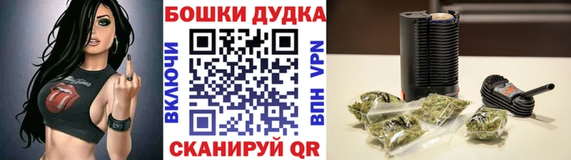 Марихуана Amnesia Гусев